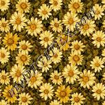 Colour:A