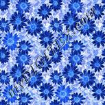 Colour:F