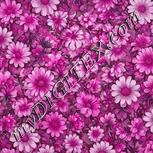 Colour:B