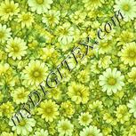 Colour:K