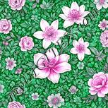 Colour:B