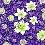 Colour:D