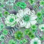 Colour:C