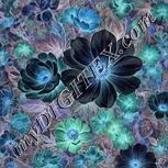 Colour:F