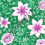 Colour:B