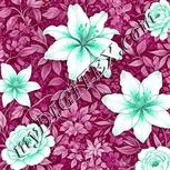 Colour:C