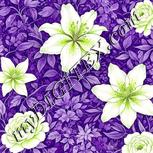 Colour:D