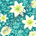 Colour:K