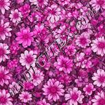Colour:B