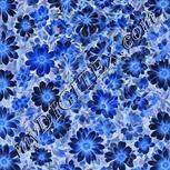 Colour:F