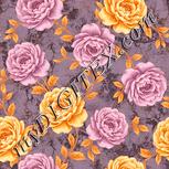 Colour:J