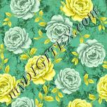 Colour:K