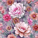 Colour:B