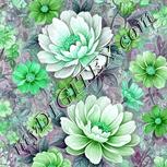 Colour:C
