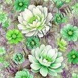 Colour:D