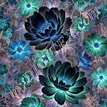 Colour:F