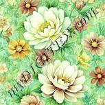 Colour:K