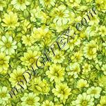 Colour:K