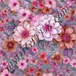 Colour:B