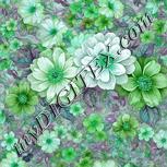 Colour:C