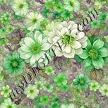 Colour:D
