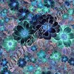 Colour:F
