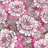 Colour:B