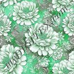 Colour:C