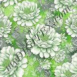 Colour:D