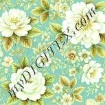 Colour:K