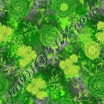 Colour:D