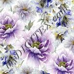 Colour:A