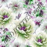 Colour:B