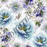Colour:D