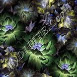 Colour:F