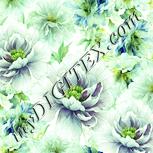Colour:K
