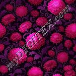 Colour:B