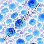 Colour:F