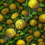 Colour:K
