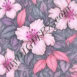 Colour:B