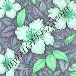 Colour:C