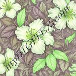 Colour:D