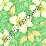 Colour:K