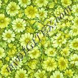 Colour:K