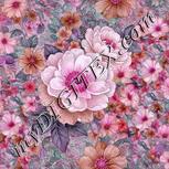 Colour:B