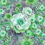 Colour:C