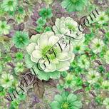 Colour:D