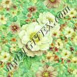 Colour:K