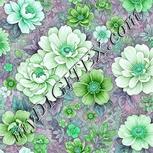 Colour:C