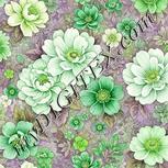 Colour:D
